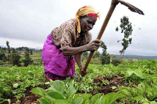 Farmer’s Day Nov 4 not public holiday