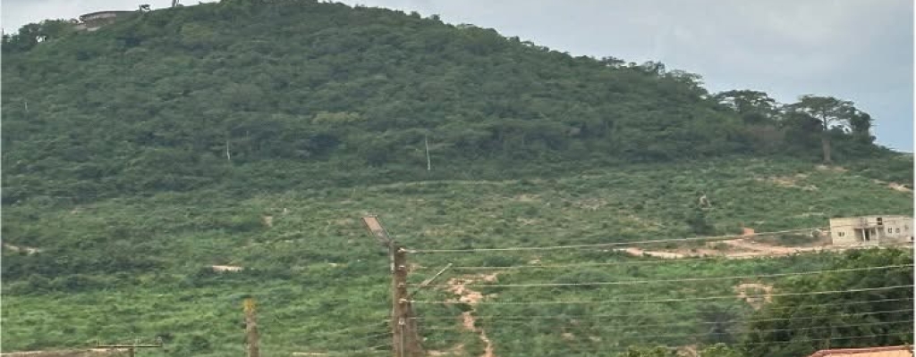 The rocky road to Ashesi - Occasional Kwatriot Kwesi Yankah writes