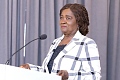 Professor Naana Jane Opoku-Agyemang — Vice-President,