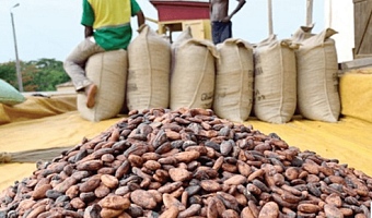 US removes 15 percent tariff on Ghana’s cocoa and other agric products