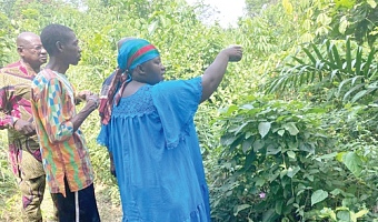 Nana Aboagyewaa Domena IV, the Queen mother of Akyem Akroso, showing journalists the new royal cemetery created by the Akroso Traditional Council at Akyem Bantama 