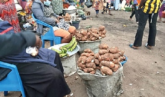 Cassava sellers are experiencing low sales