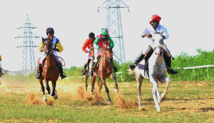 Mr K (right) and High Rise (left) will participate in tomorrow’s Homowo Race Meeting Mr K (right) and High Rise (left) will participate in tomorrow’s Homowo Race Meeting