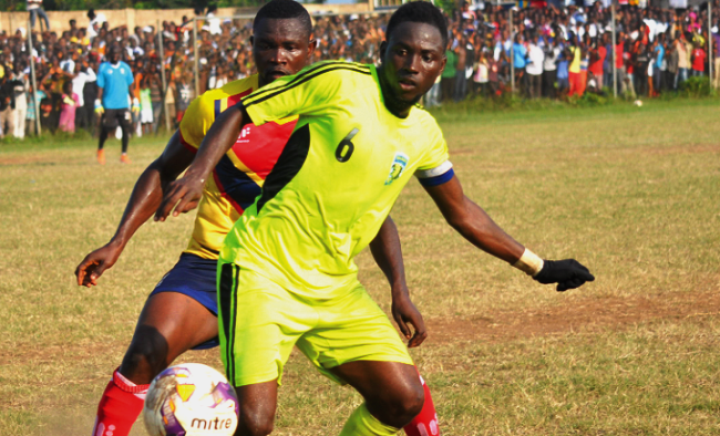 Bechem  hammer Hearts 