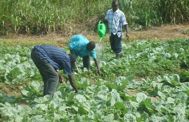 Rehabilitation of Keyime dam to help improve Agriculture in Ziope enclave in the Volta Region Agric Ministry starts rehabilitation of Keyime dam