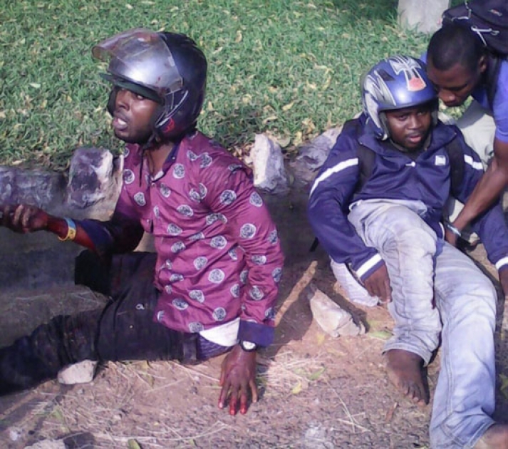 Koala robbers jailed 150 years