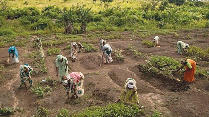 Global food security Act leaves African farmers in the dirt