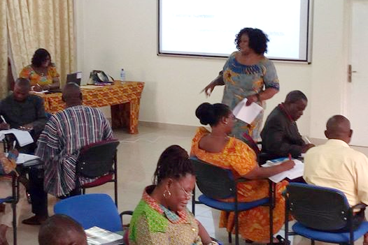 A facilitator making a presentation on supervision and monitoring