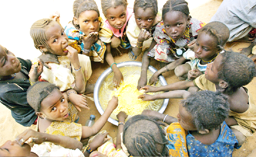 The UN Food and Agriculture Organisation estimates that 233 million people in sub-Saharan Africa were undernourished between 2014 and 2016 The UN Food and Agriculture Organisation estimates that 233 million people in sub-Saharan Africa were undernourished between 2014 and 2016