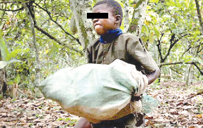In some cases child labour deprives children of education Child Labour: A global canker