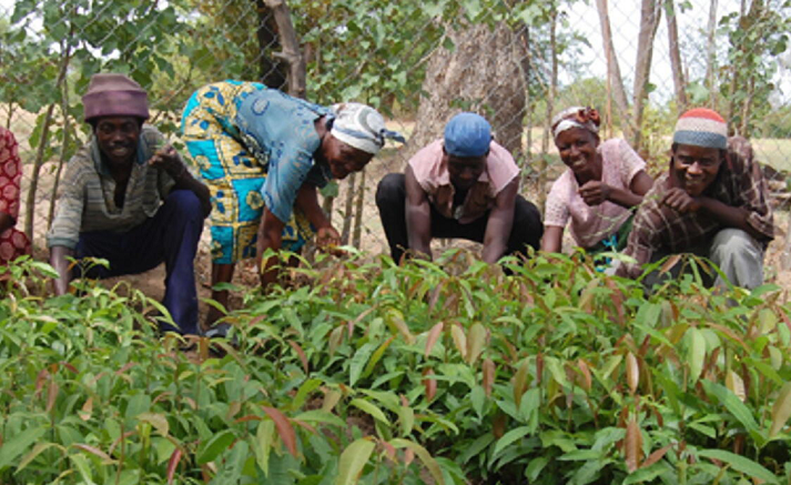 He said this included training of 400 fruit and vegetable farmers in the Eastern and Greater Accra Regions of Ghana to improve their knowledge on the correct use of pesticides, traceability and waste management. He said this included training of 400 fruit and vegetable farmers in the Eastern and Greater Accra Regions of Ghana to improve their knowledge on the correct use of pesticides, traceability and waste management.