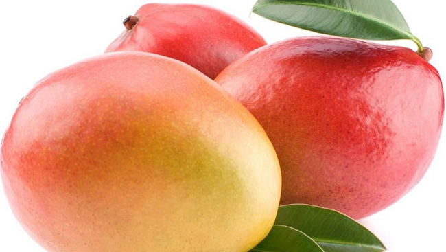 Health benefits of mango