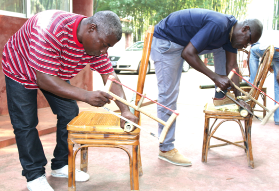 Mr Stephen Osafo Owusu (right) busily splitting a bamboo Mr Stephen Osafo Owusu (right) busily splitting a bamboo