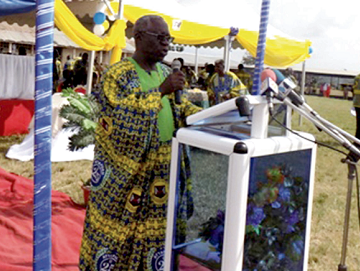 Mr Yaw Osafo-Maafo delivering his address