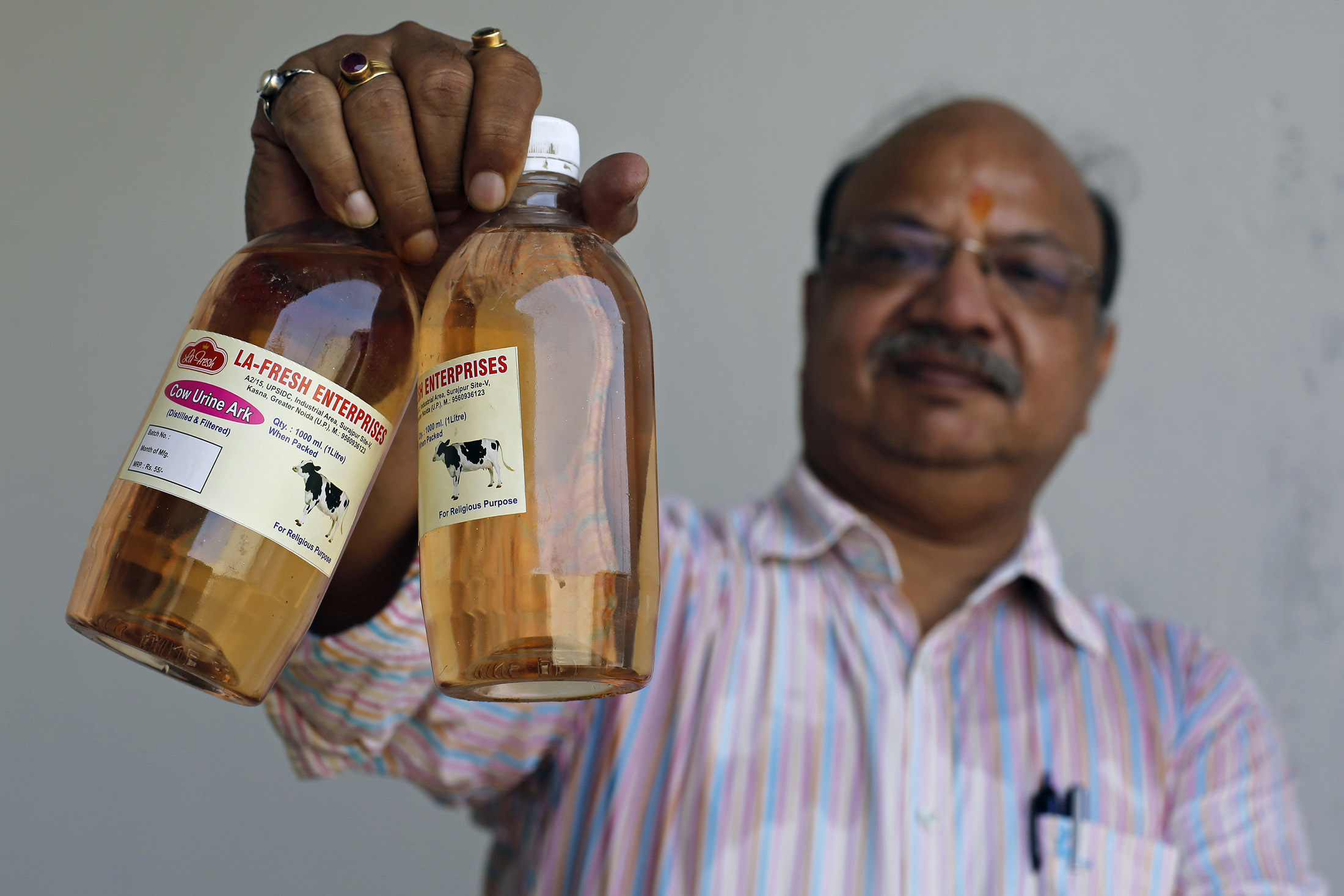 Cow urine can sell for more than milk in India