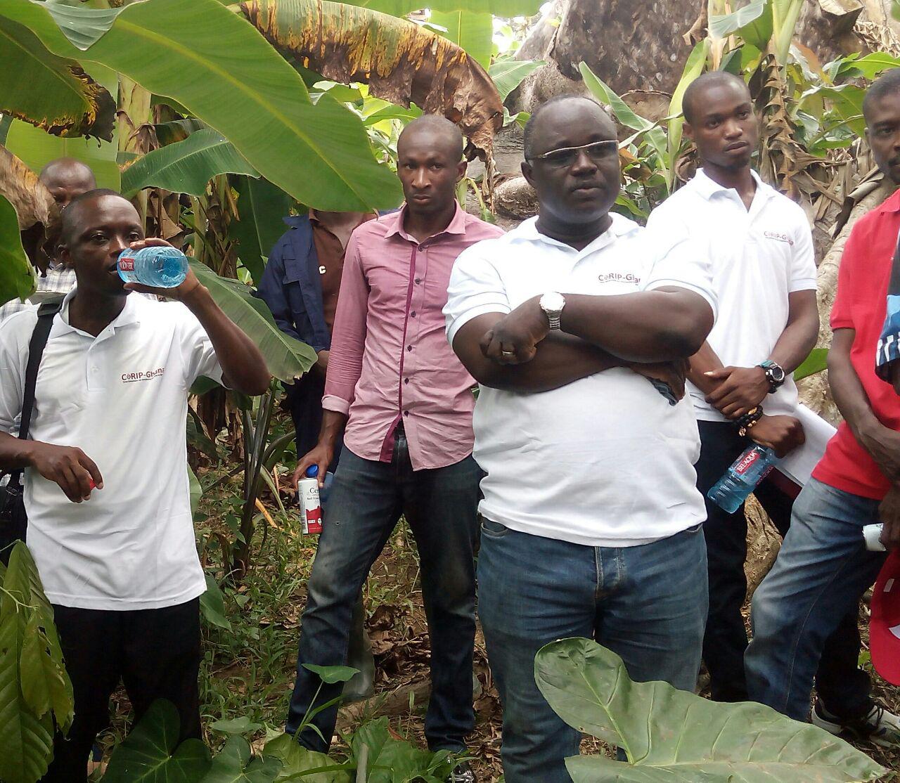 Eric Amoako Agyare leading journalists on the field trip CORIP-Ghana train cocoa farmers to increase yield