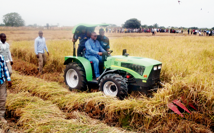 President Mahama driving one of the tractors to harvest a rice farm at Akuse in the Eastern region. President Mahama driving one of the tractors to harvest a rice farm at Akuse in the Eastern region.