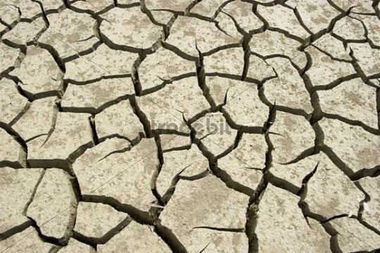 Parched ground in Spain
