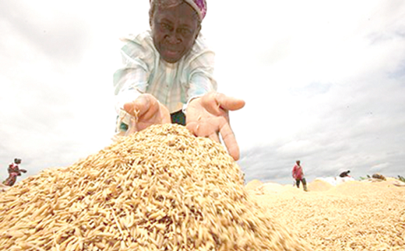 World Bank would continue to support initiatives to increase agricultural production in the country World Bank would continue to support initiatives to increase agricultural production in the country