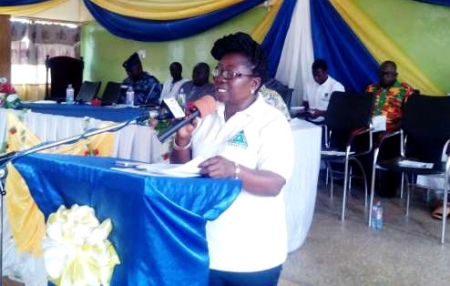 Mrs Lucy Perbi Nyarko - Upper East Regional Area Manager of the VRA Mrs Lucy Perbi Nyarko - Upper East Regional Area Manager of the VRA