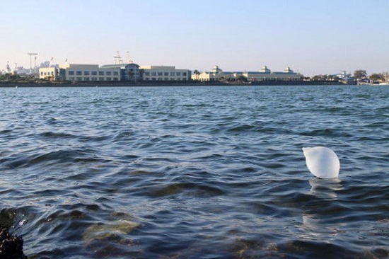 In Cuba, condoms are used to catch expensive ocean fish resulting in shortages of condoms