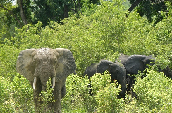 Nationwide hospitality training organised by the Tourism Ministry