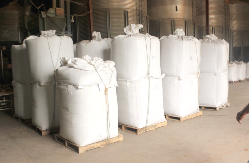 The foundation seeds sitting at the Prairie Volta Limited mill. Loss of US$200,000 foundation seeds to be investigated