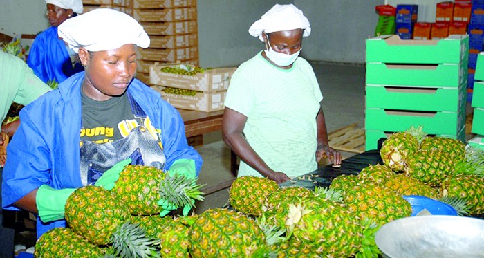 SMEs usually shy away from signing on to insurance policies. SMEs urged to sign on to insurance policies