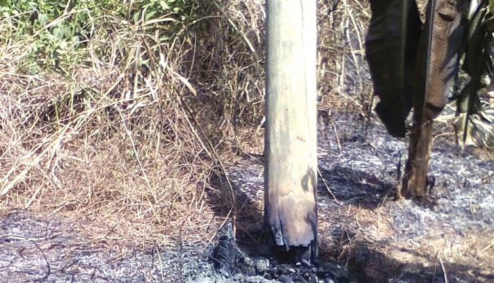 One of the poles destroyed through a bush fire One of the poles destroyed through a bush fire
