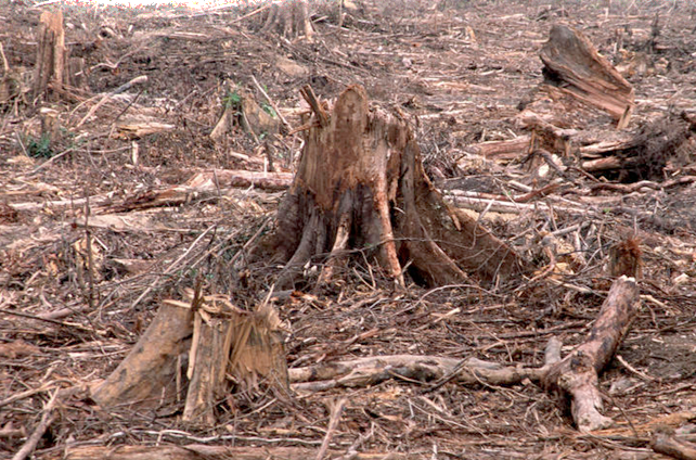 How well are we taking care of our environment? How well are we taking care of our environment?