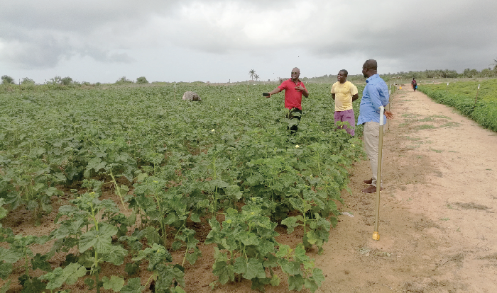 Mr Mawutor Kumah (left) interacting with some farmers