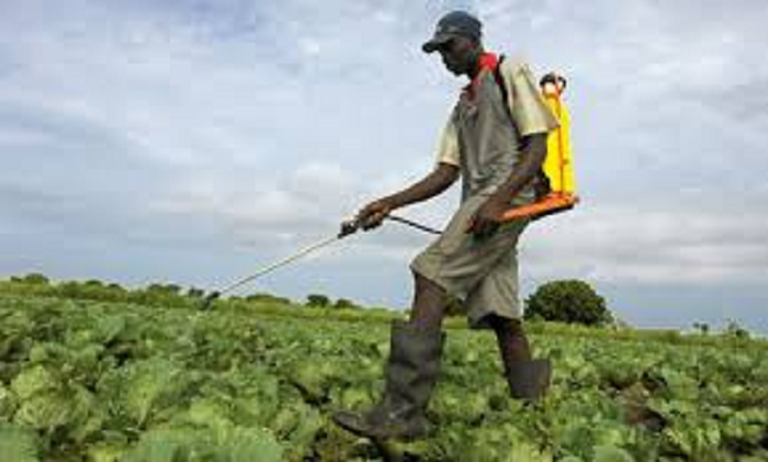A farmer spraying his farm with agro-chemicals A farmer spraying his farm with agro-chemicals