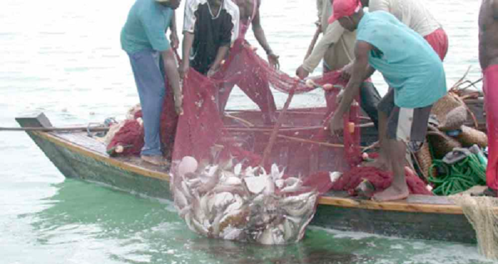 • The benefit of fish products are great because of their high consumption rate among Ghanaians • The benefit of fish products are great because of their high consumption rate among Ghanaians