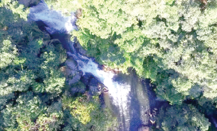  Vicente was not discouraged by the comments from his neighbours