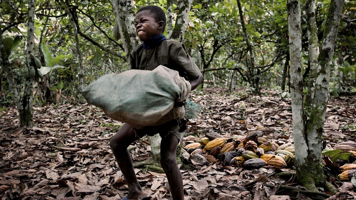 Breaking the cycle of child labour Breaking the cycle of child labour