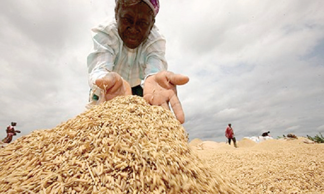 USAID-FinGAP facilitates $115m in agric value chain