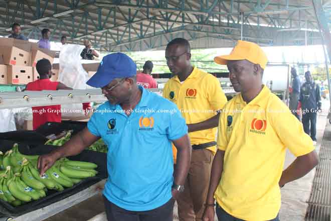 Mr George Kporye (left), Corporate Affairs and Administration Manager at Golden Exotics Limited, expecting work at one of the sectors. Picture by Maxwell Ocloo Mr George Kporye (left), Corporate Affairs and Administration Manager at Golden Exotics Limited, expecting work at one of the sectors. Picture by Maxwell Ocloo
