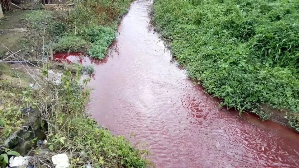 Recently, we also heard of a stream in Koforidua that had turned into blood and as usual, the spiritual aspect surfaced until a counter report came to put the matter to rest. Recently, we also heard of a stream in Koforidua that had turned into blood and as usual, the spiritual aspect surfaced until a counter report came to put the matter to rest.