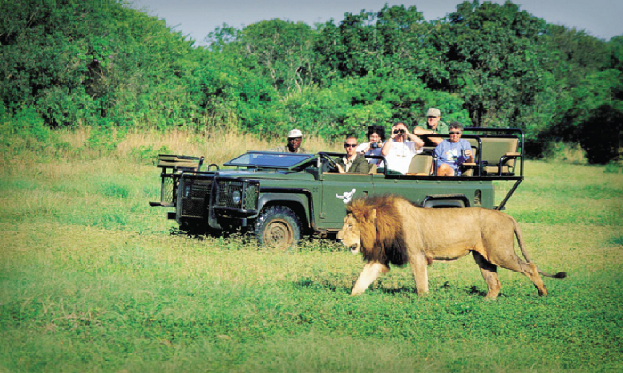 Tourism in Africa largely remains an untapped opportunity Tourism in Africa largely remains an untapped opportunity