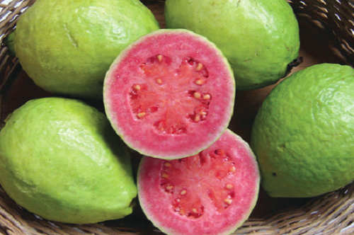 Guava Guava