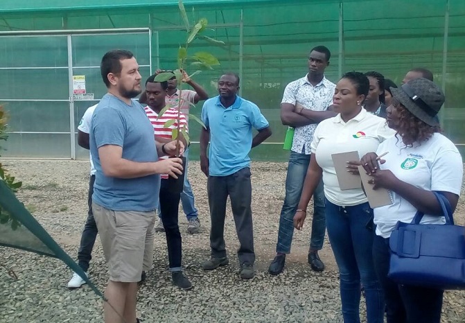 Mr Nicos Chronaios (left) holding one of the hybrid seedlings and demonstrating how it is planted