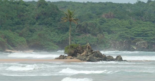 Cape Three Points Forest Reserve under threat