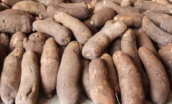 Yam Yam