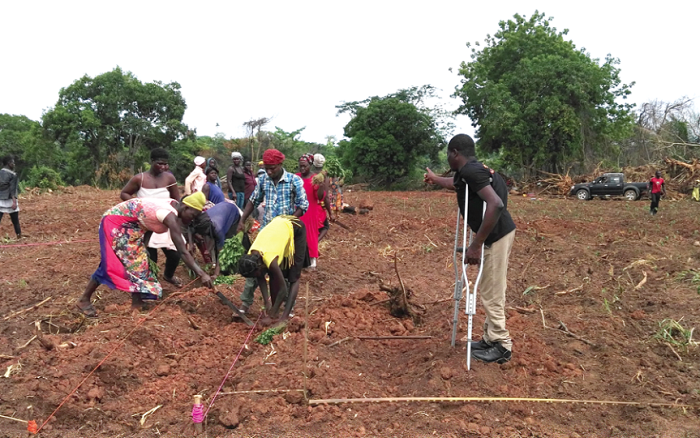 Mr Kofi Vinyo on one of his farms with some of his workers Mr Kofi Vinyo on one of his farms with some of his workers