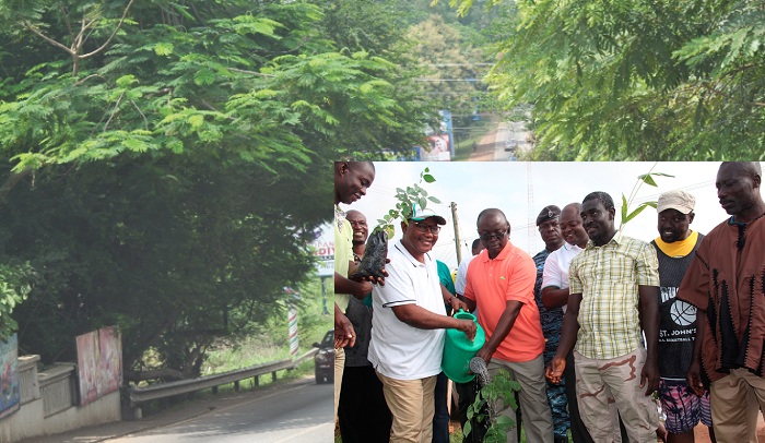 A breathtaking scene of Nhyiaeso, one of the few areas in Kumasi left with green vegatation over. INSET: Mr Osei Assibey Antwi (3rd right ) and Nana Owusu Barima III (in cap) jointly water a newly planted seedling. Picture: EMMANUEL BAAH A breathtaking scene of Nhyiaeso, one of the few areas in Kumasi left with green vegatation over. INSET: Mr Osei Assibey Antwi (3rd right ) and Nana Owusu Barima III (in cap) jointly water a newly planted seedling. Picture: EMMANUEL BAAH