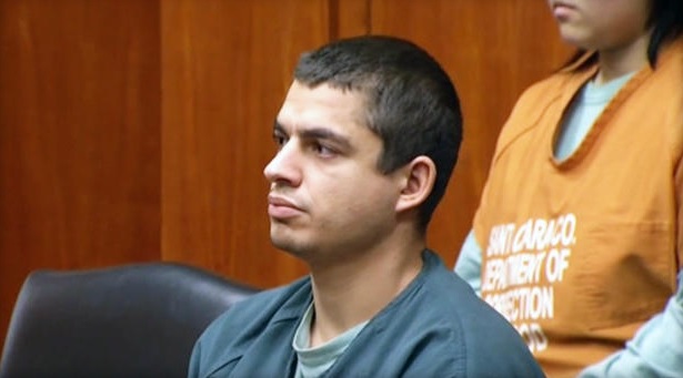 California man sentenced to 16 years in prison for killing 21 cats