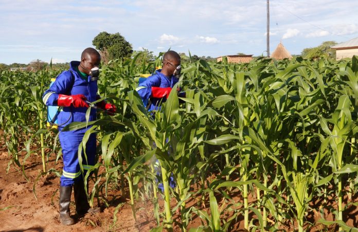 Fall Army Worms won’t threaten food security — Dep. Minister of Agric