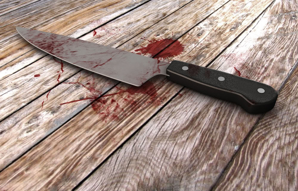 18-year-old student allegedly stabs boyfriend to death