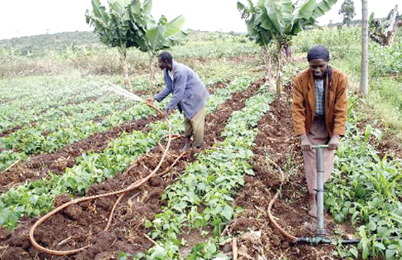 Support to Smallholder farmers will sustain their livelihoods and ensure food security Support to Smallholder farmers will sustain their livelihoods and ensure food security