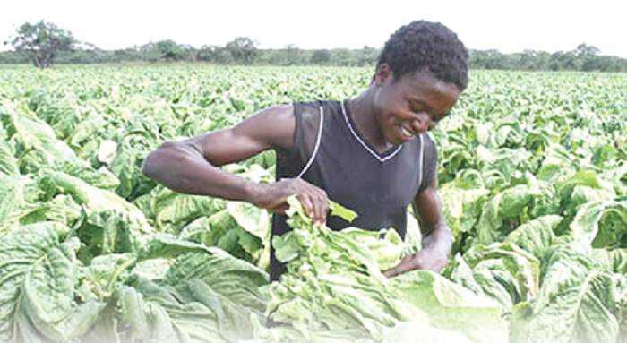 Making agriculture lucrative to the youth Making agriculture lucrative to the youth